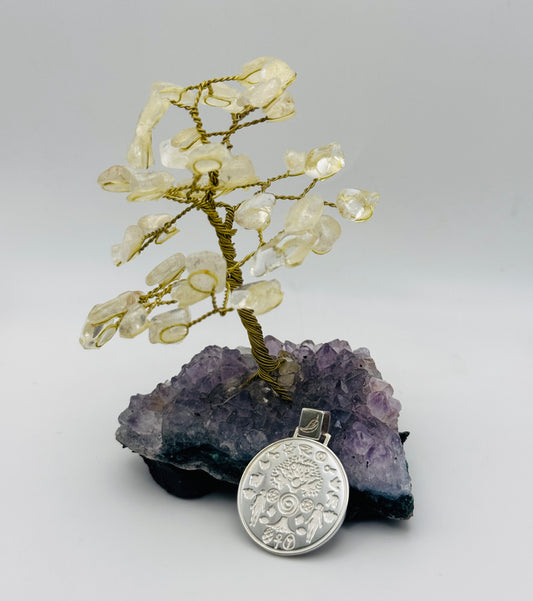 Garden of Eden: Sterling Silver Talisman