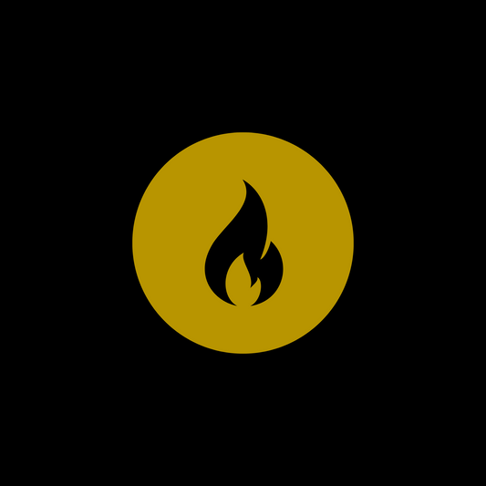 47. The Scroll of the Flame Within | Lightbody Sacred Writings - Digital PDF