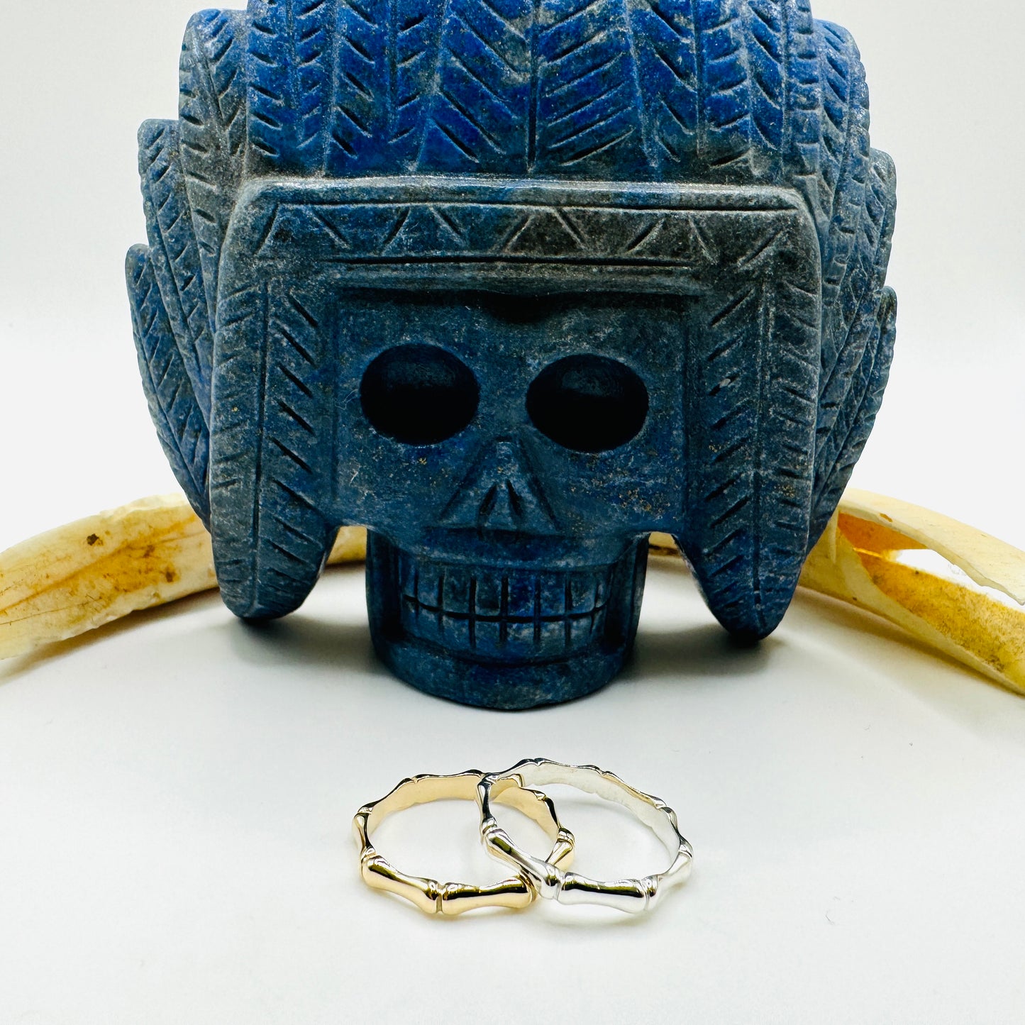 Circle of Bones: Sterling Silver Ring