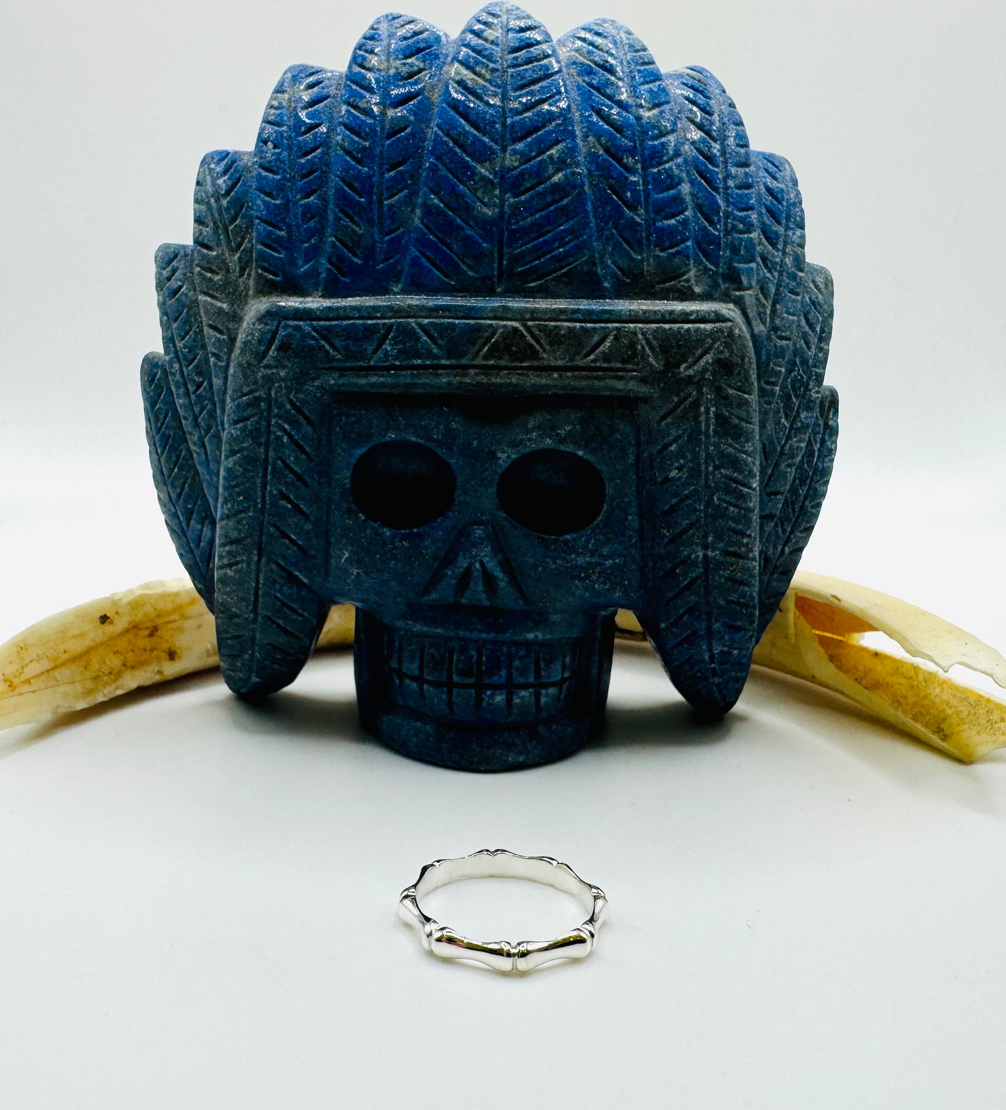 Circle of Bones: Sterling Silver Ring