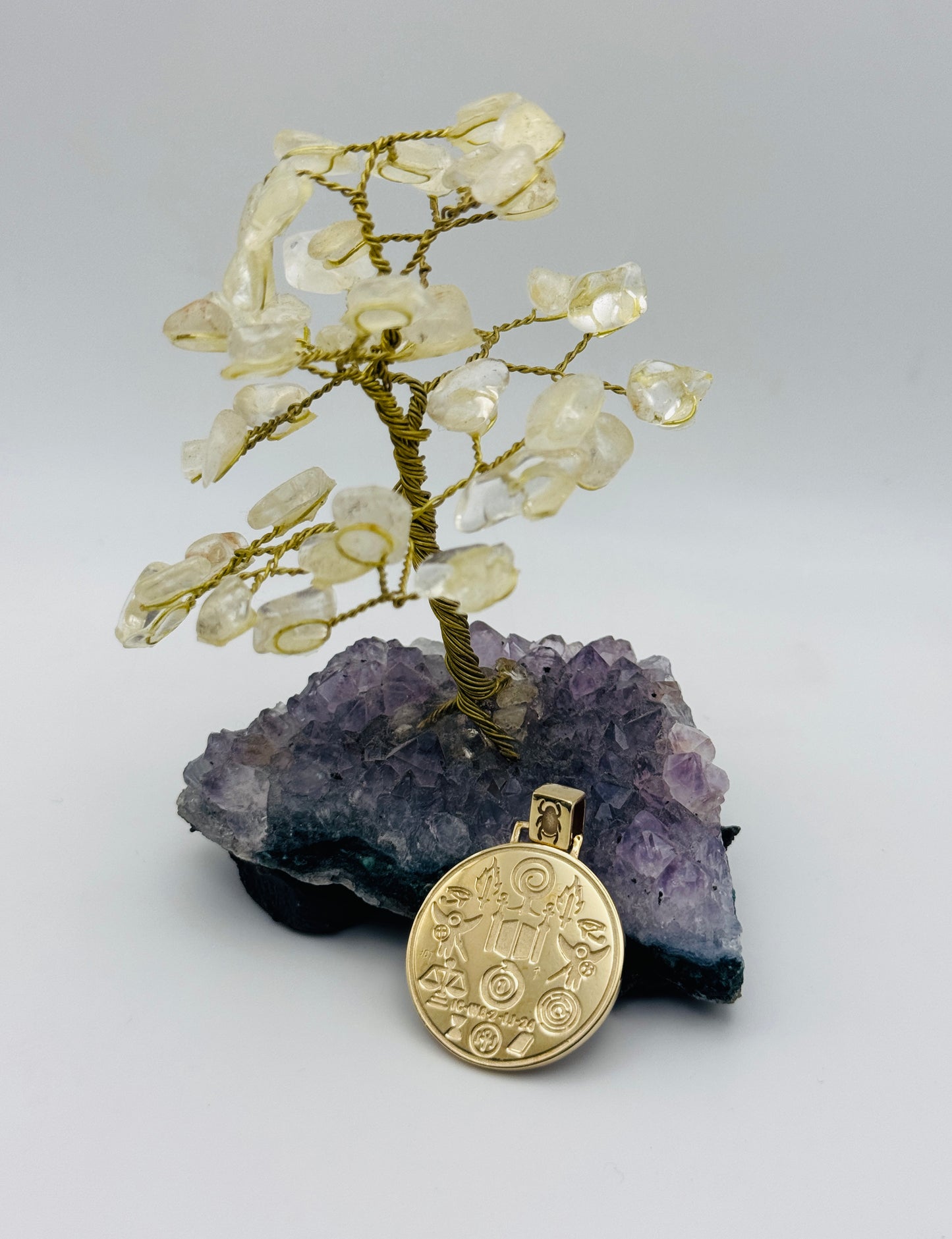 Garden of Eden: 9ct Gold Talisman