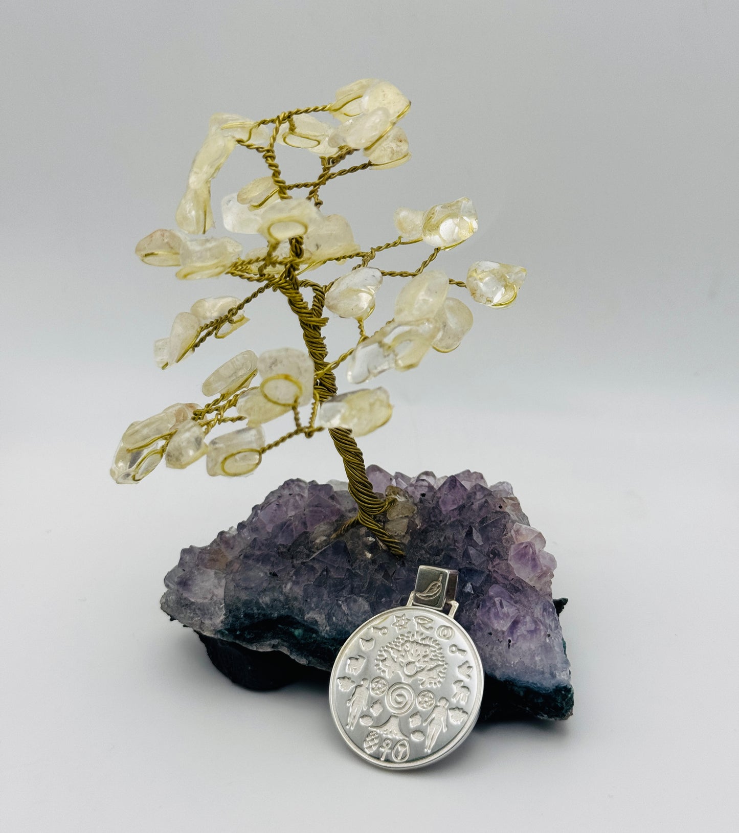 Garden of Eden: Sterling Silver Talisman