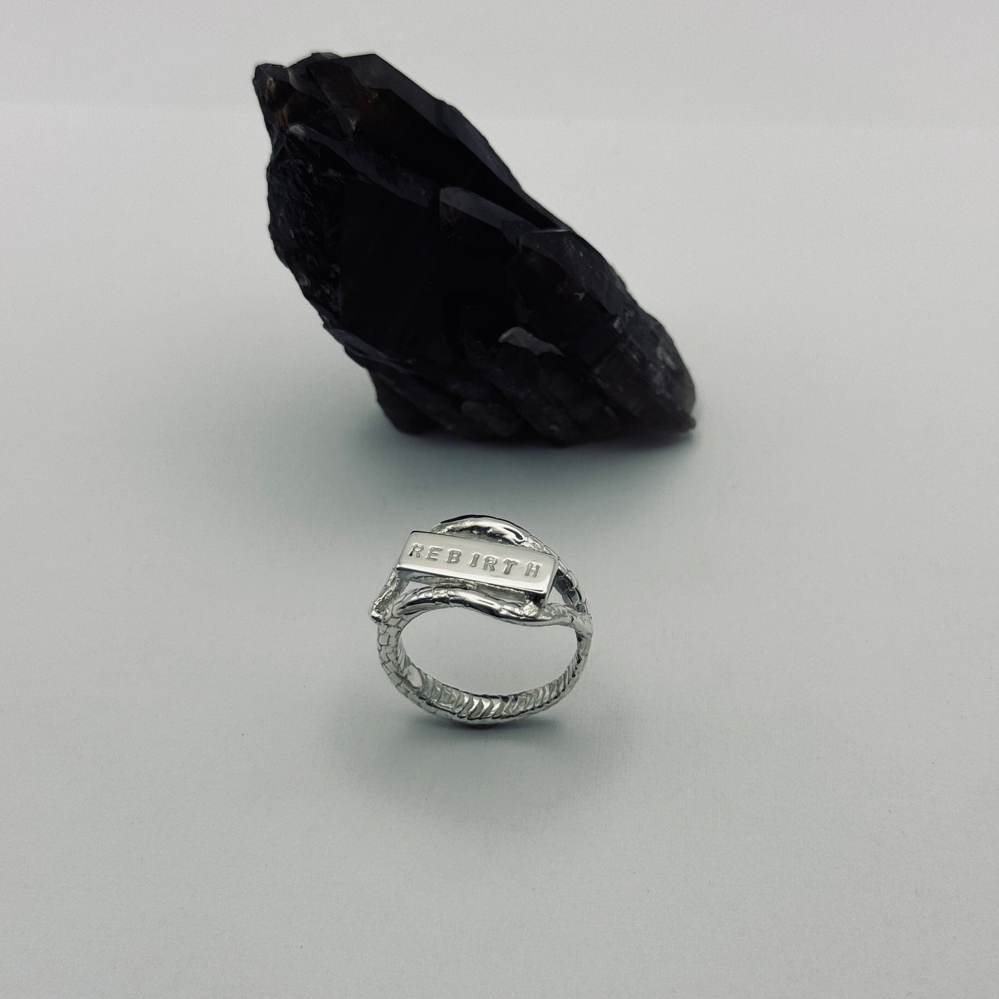 The Shedding - The Talisman of Transformation