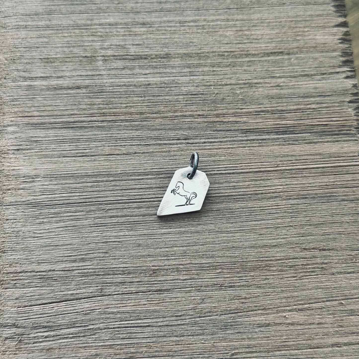 The Horse Charm - The Talisman of Movement & Aligned Action