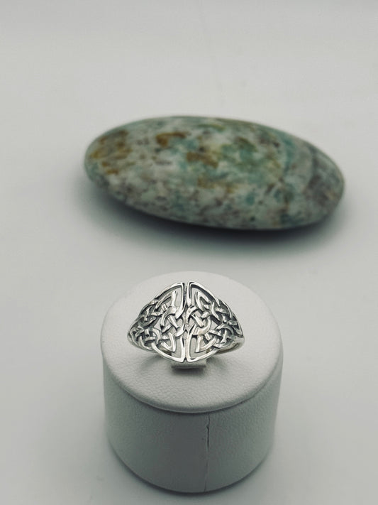 The Gatekeeper Ring - Sacred Sterling Silver Talisman