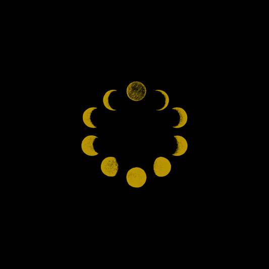 12. The Scroll of Lunar Alignment | Lightbody Sacred Writings - Digital PDF