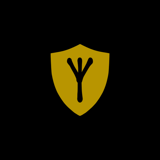 1. The Scroll of Protection | Lightbody Sacred Writings - Digital PDF